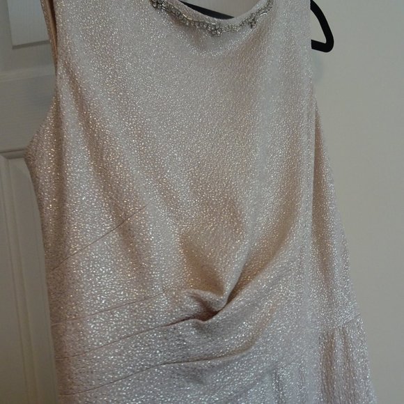 Ladies Size 14 Champagne long Prom Dress-NEW - Picture 6 of 8
